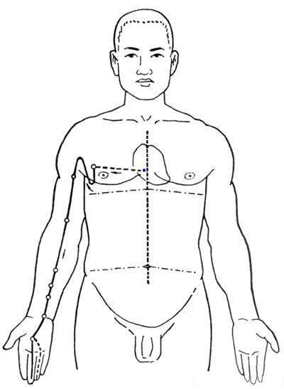 手厥阴心包经
