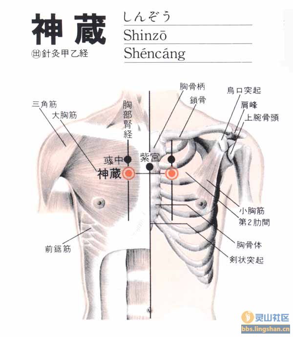 神藏穴