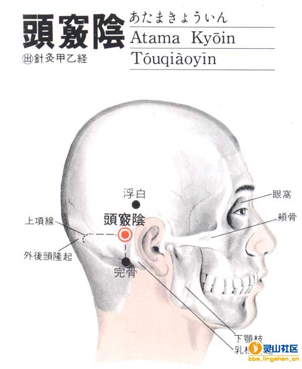 头窍阴穴