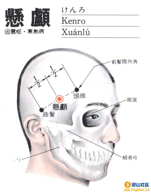 悬颅穴