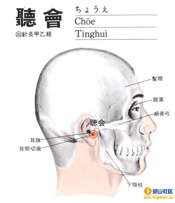 听会穴