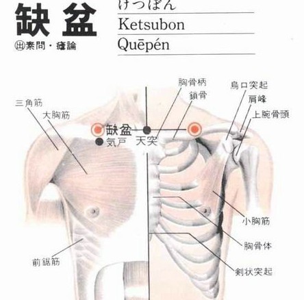 缺盆穴