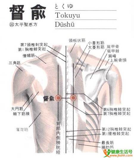 督俞穴