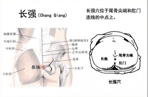 长强穴