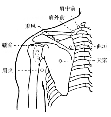 臑俞穴