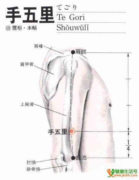 手五里穴