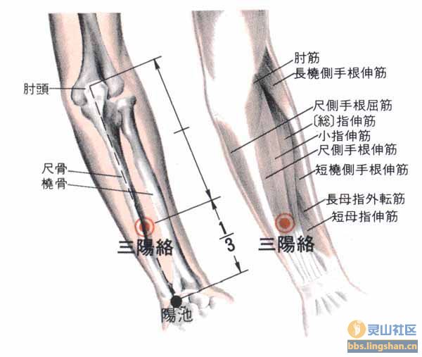 三阳络穴