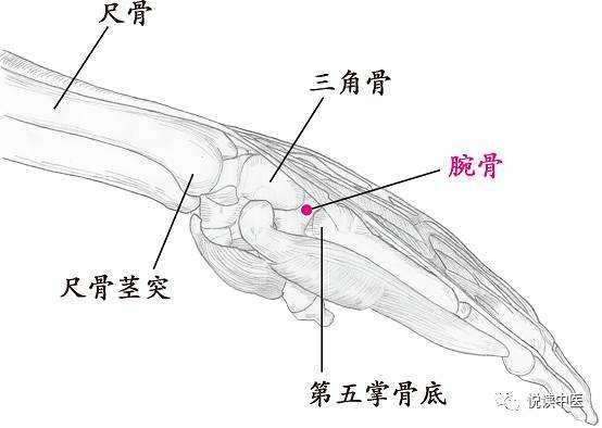 腕骨穴