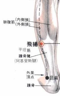 飞扬穴