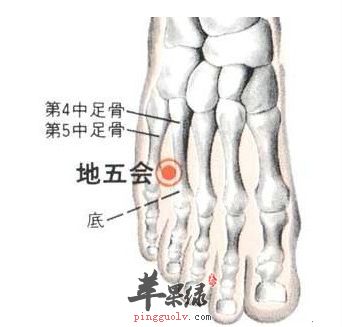 地五会穴