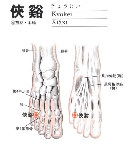 侠溪穴