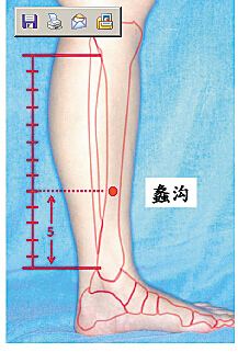 蠡沟穴