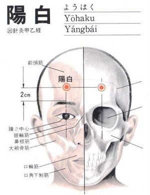 阳白穴