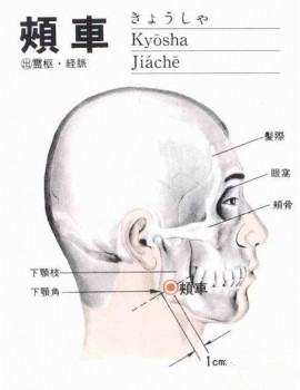 颊车穴