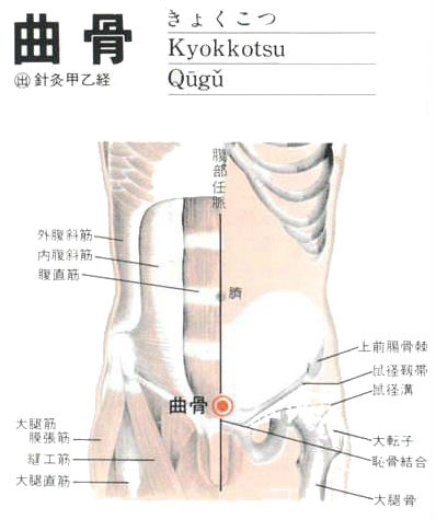 曲骨穴