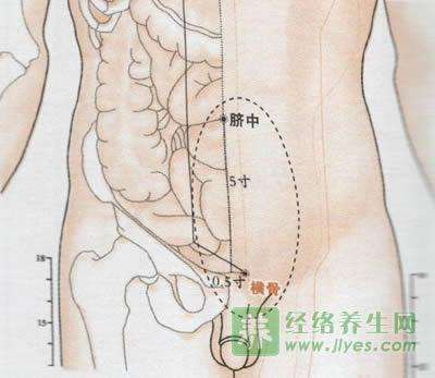 横骨穴