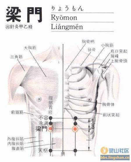 梁门穴