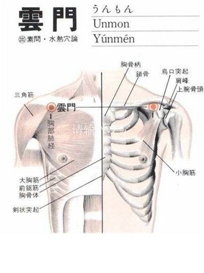 云门穴