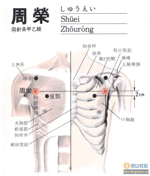 周荣穴