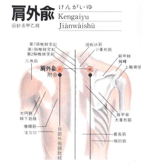 肩外俞穴