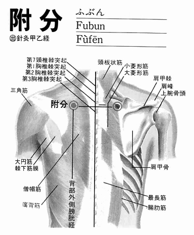 附分穴