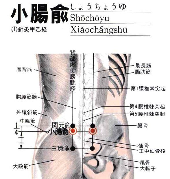 小肠俞穴