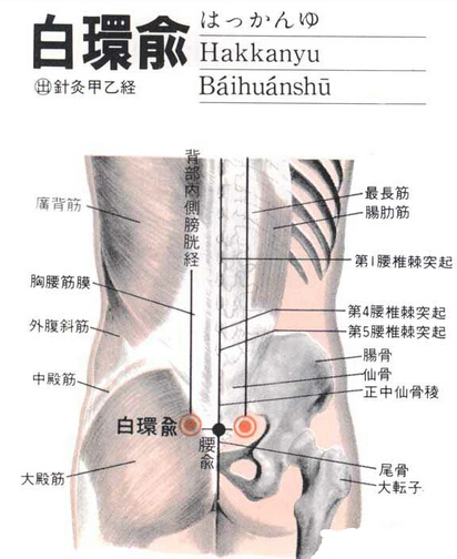 白环俞穴