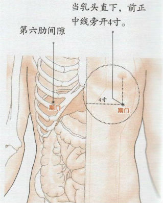 期门穴