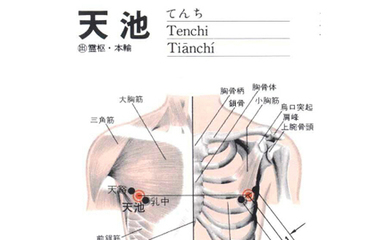 天池穴